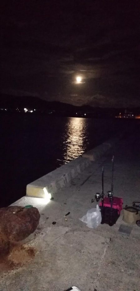 灼熱でのぶっこみ釣り