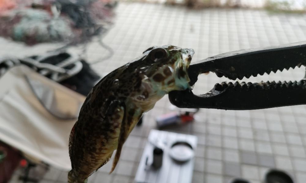 台風から逃げて山口遠征