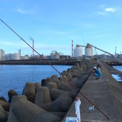 高砂港のキス調査