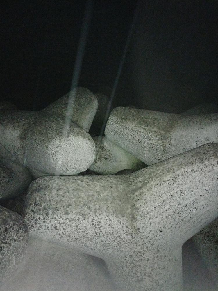 ガシラ　タチウオ　エソ