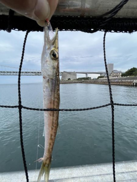 アジフィーバー⓹