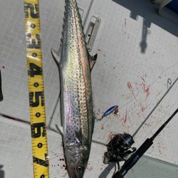 真夏のジギングチャレンジ