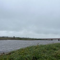 あの幻のイトウが釣れる!?