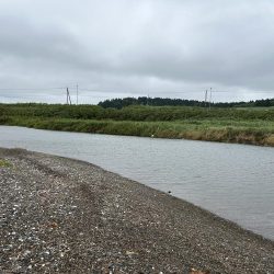 やりました!!アメマス!!昨日のリベンジ