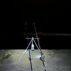 礼文島初日に、念願の魚が２匹とも釣れる!?