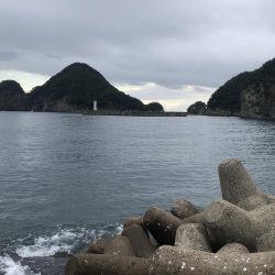 恒例　お盆休みの釣り　パート2