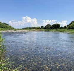 アユイングだ〜