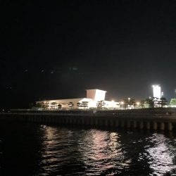 台風後のサビキ釣り