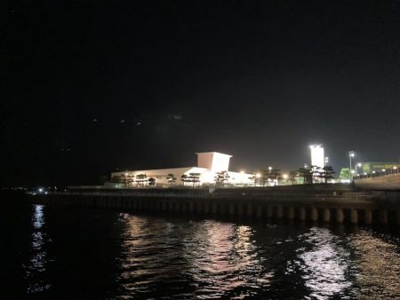 台風後のサビキ釣り