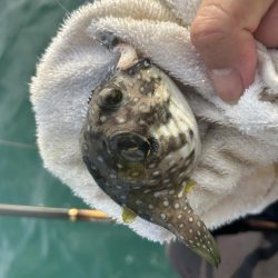 いろいろ楽しい