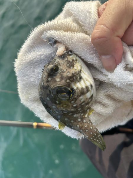 いろいろ楽しい