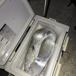 ★★メーター超えの奴が来た★★