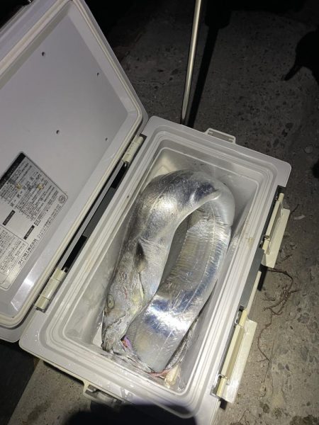 ★★メーター超えの奴が来た★★