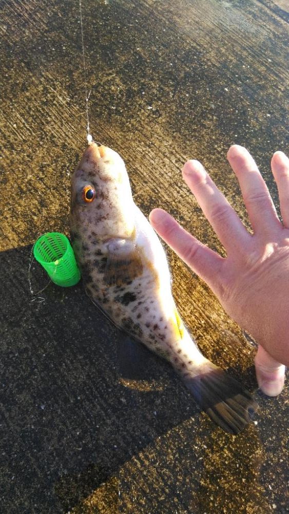 ファミリーフィッシング