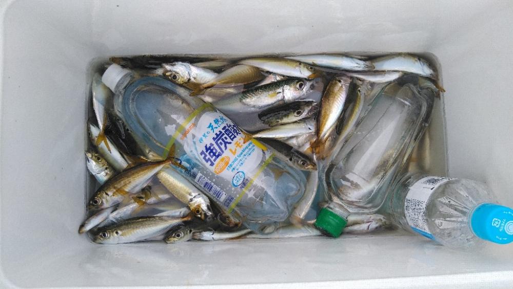 夏休み最後の釣り