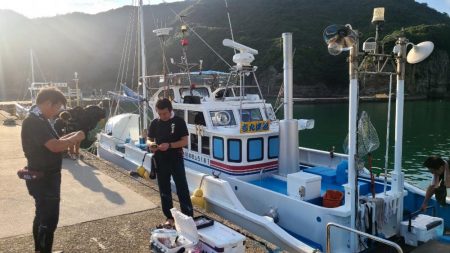 和歌山市江（吉丸渡船）でイカメタル