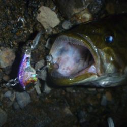 減水続き　その２