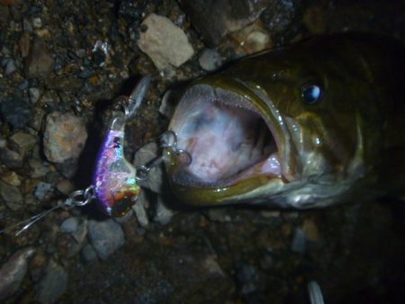 減水続き　その２