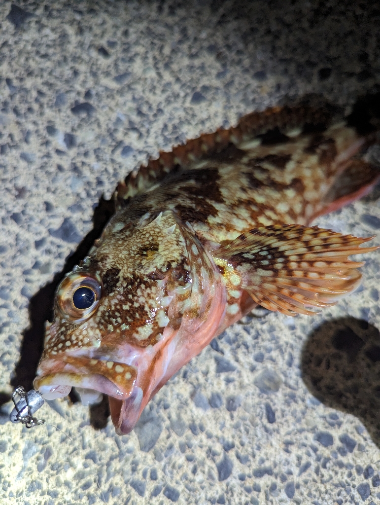 4目ライトゲーム