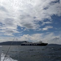 お土産いっぱい（サウス）