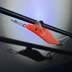 キシイチでもケンサキゲーム成立にゃ！