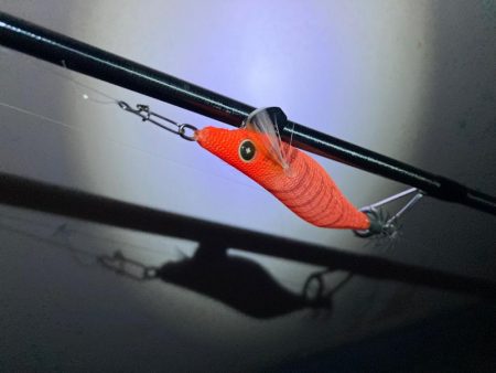 キシイチでもケンサキゲーム成立にゃ！