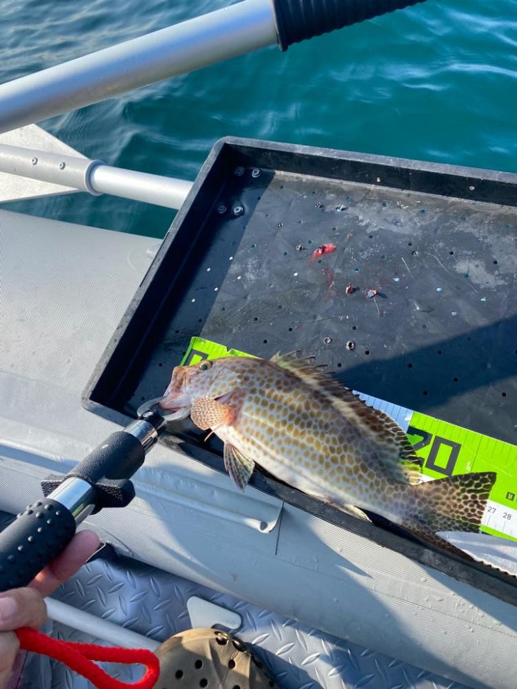 マイボート釣行