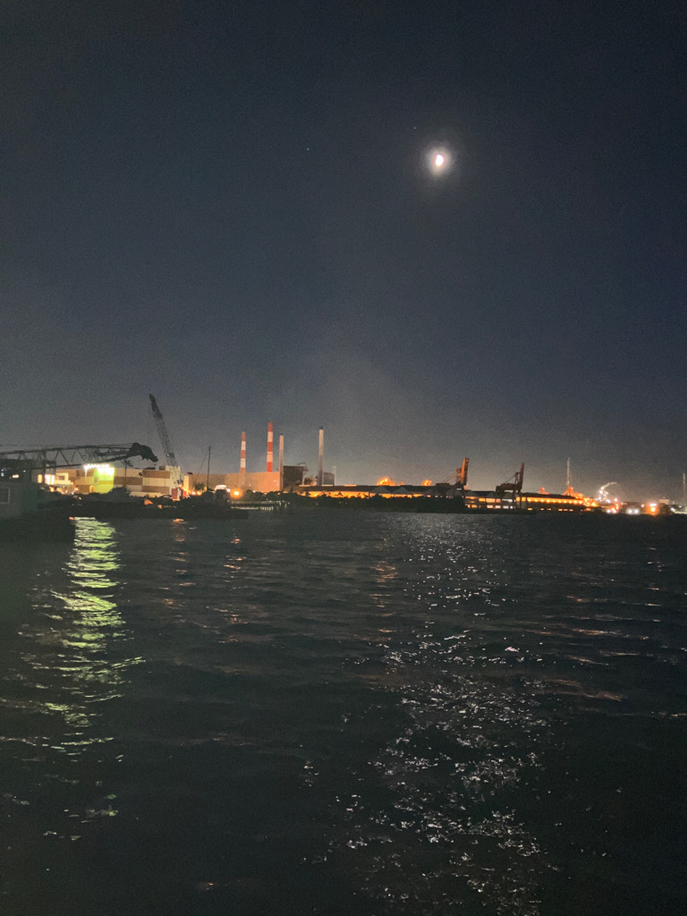 ダイバーが恐れる危険生物キャッチ