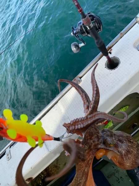 おニューのロッド担いでタコ釣り