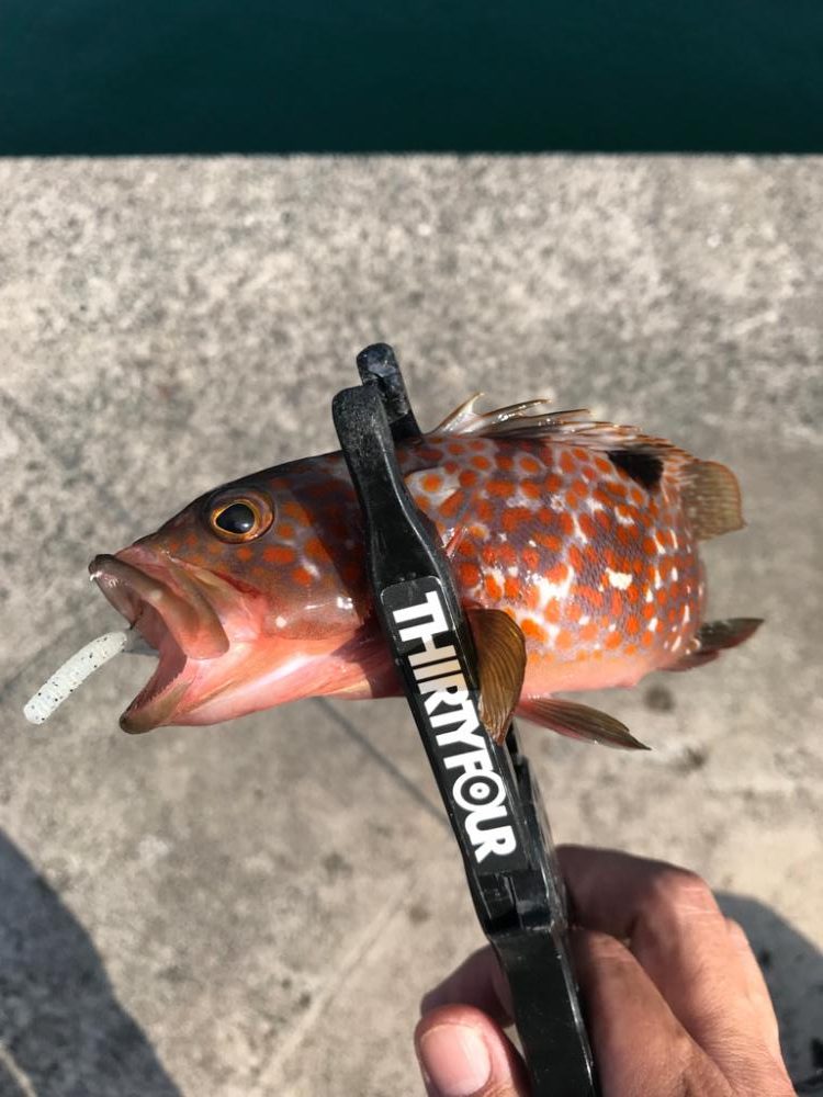 残猛暑が続く中…🥵💦