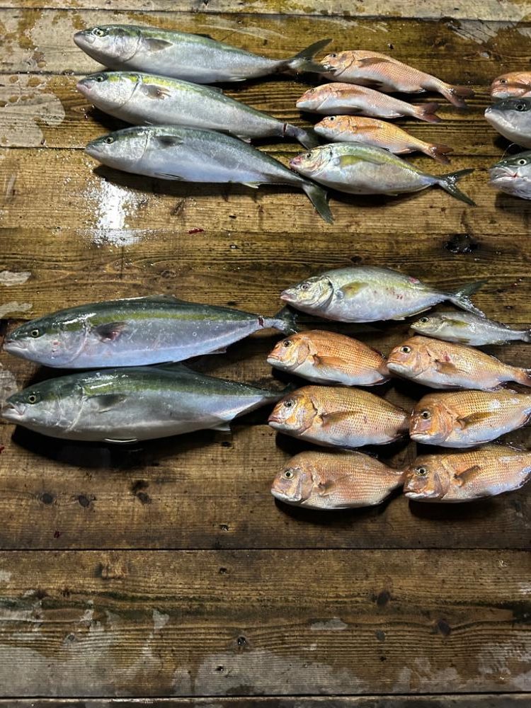 あなたに逢い鯛釣り堀　夕まずめコース