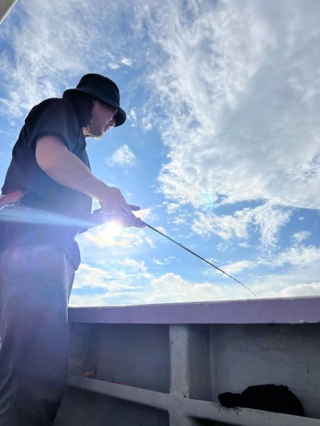 淡路デイイカメタル