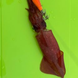 稲光のおかげ？