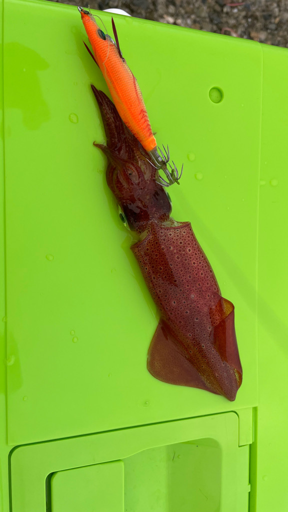 稲光のおかげ？