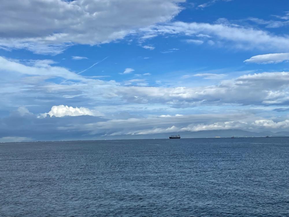 23年　初タチウオ‼️