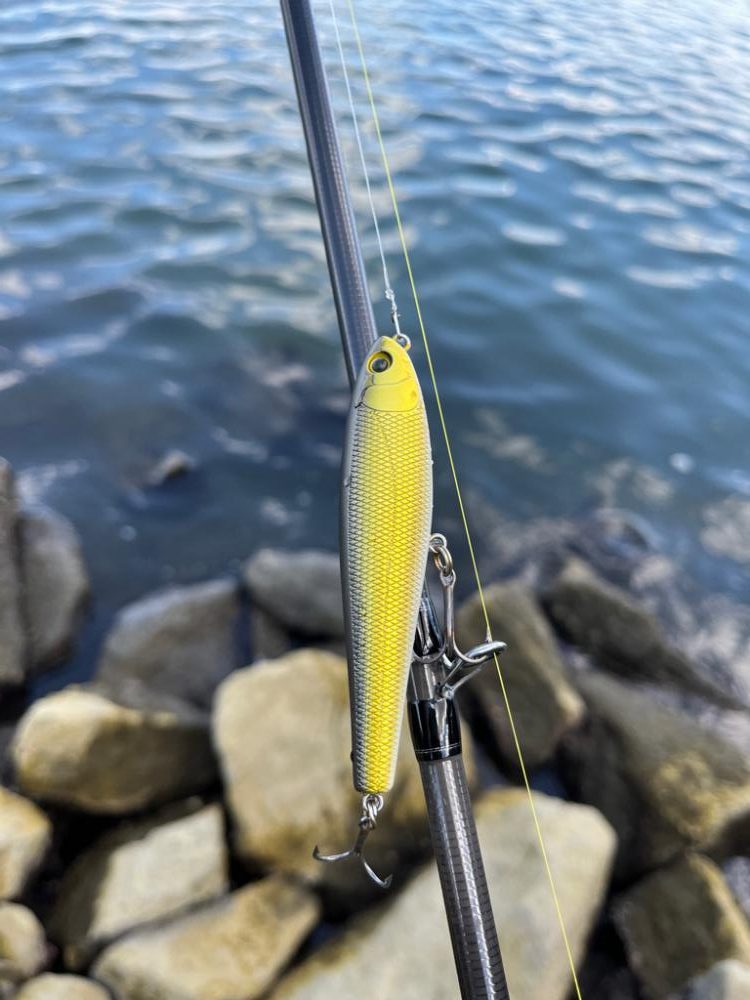 1か月半ぶりの…