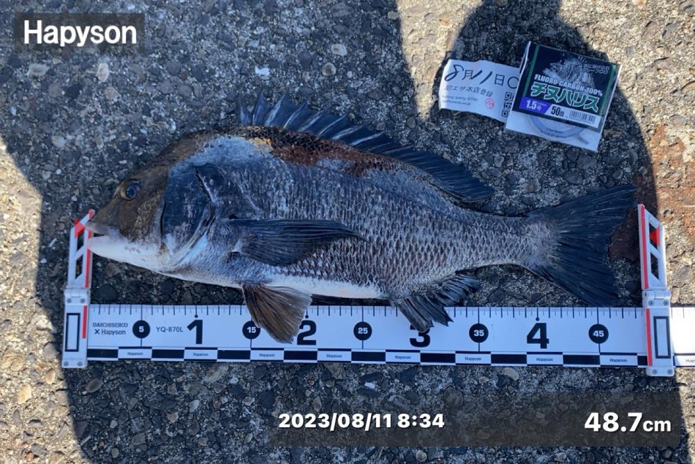 朝方から釣り始め