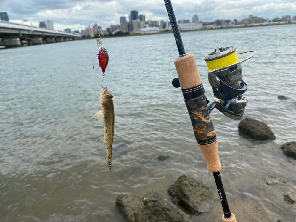 ハゼクラとチニング