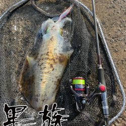 朝まずめ2時間勝負