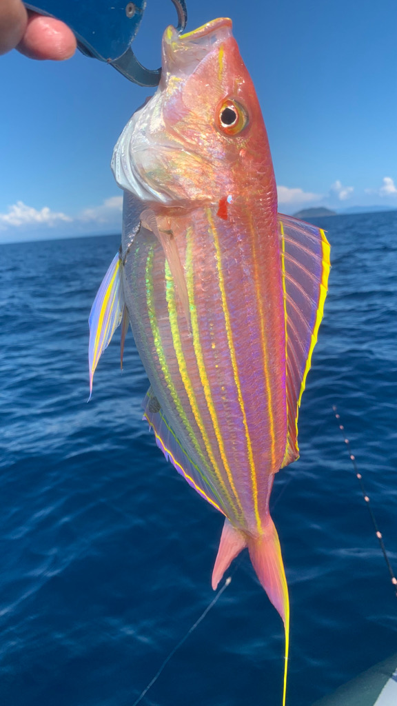 酷暑のボート釣行