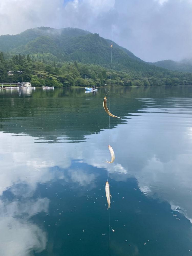 ワカサギ試し釣り