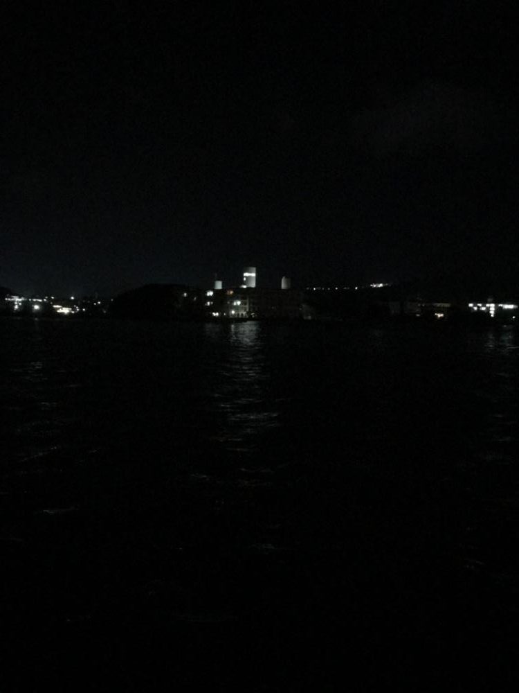 アジがつれたー♪