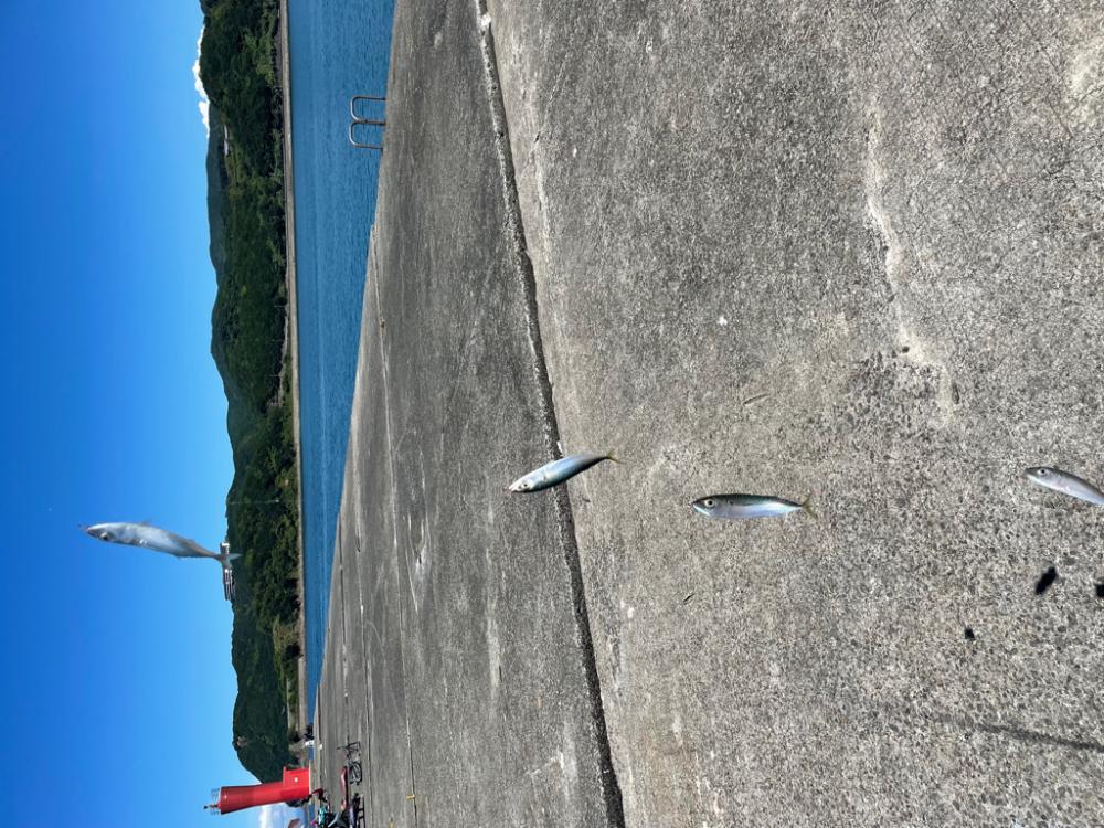 加太港