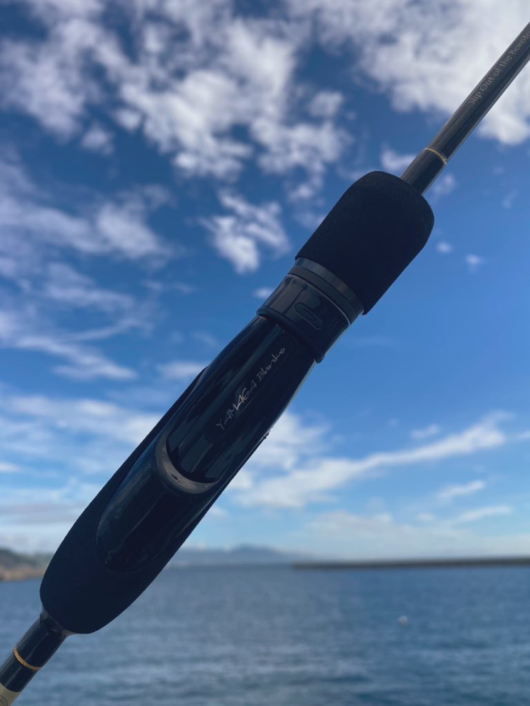 Newロッド鱗付けアジング