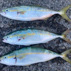 2023ライトゲーム第30戦