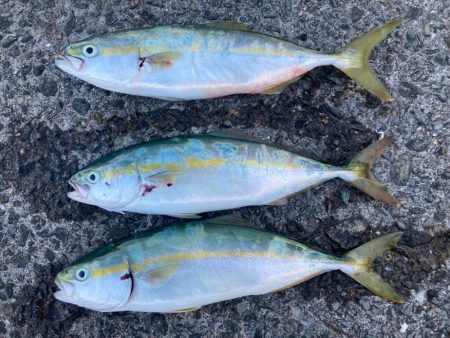 2023ライトゲーム第30戦