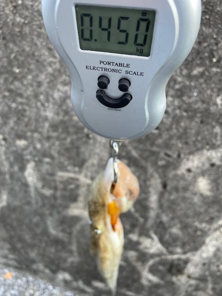 カニパワー‼️、、、