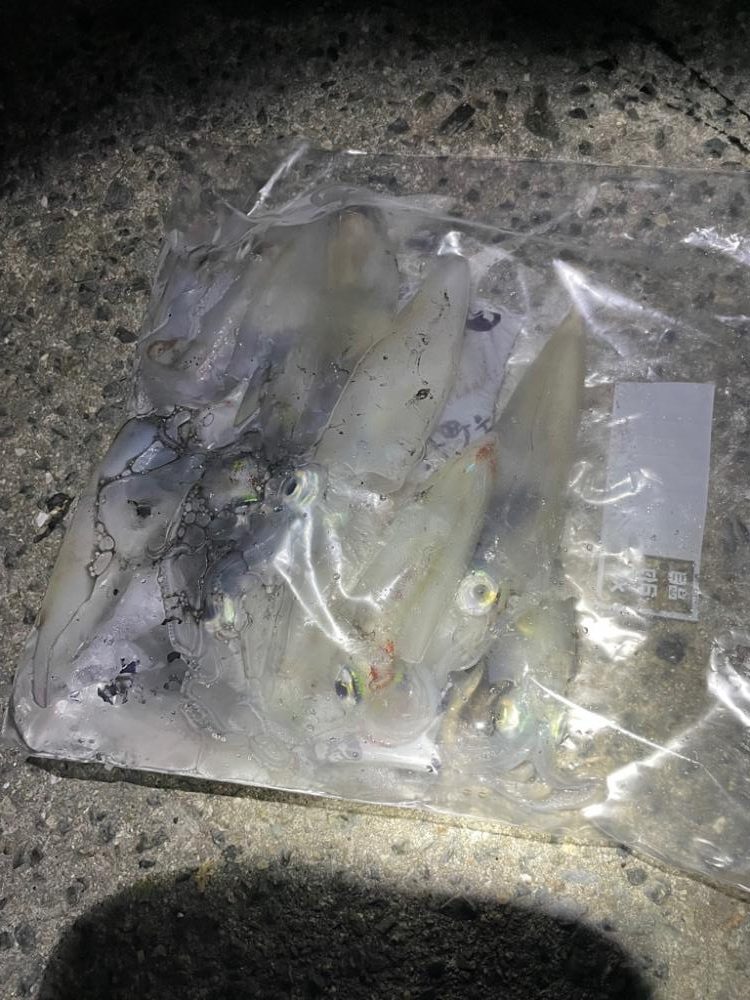 ぼちぼちでした