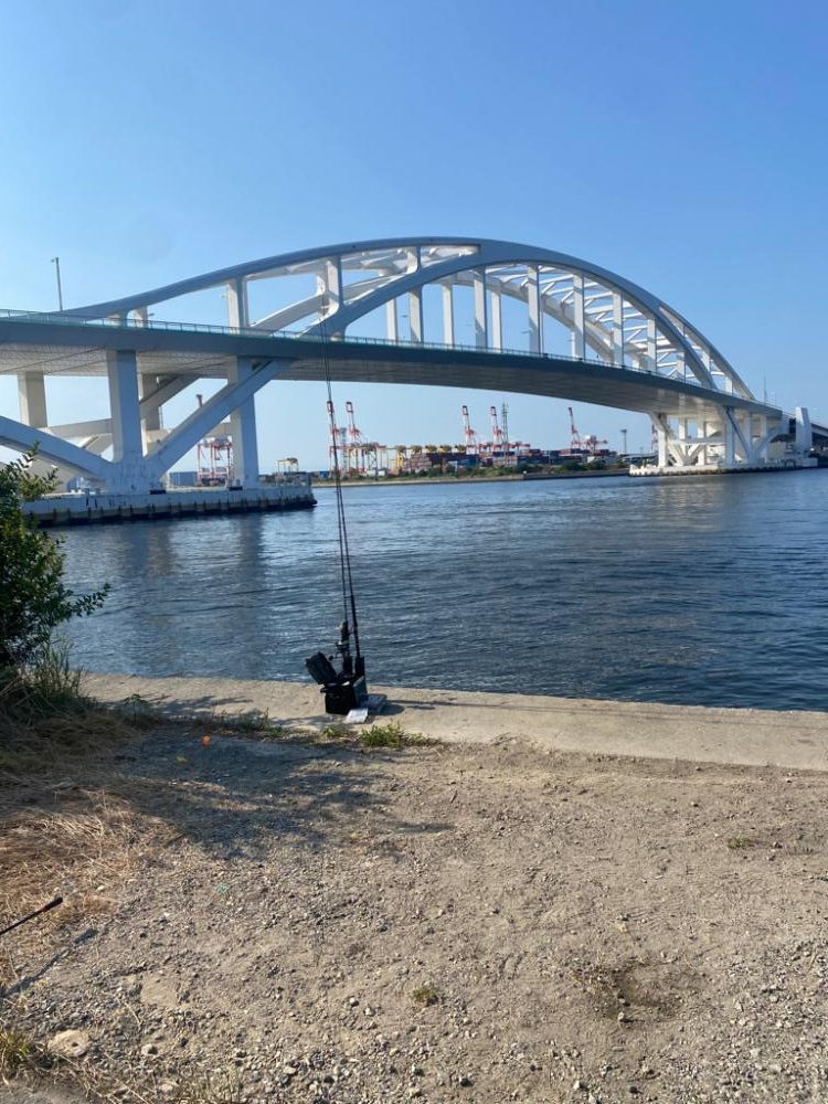 サバが入れ食い！