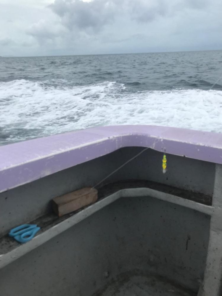 淡路デイイカメタル